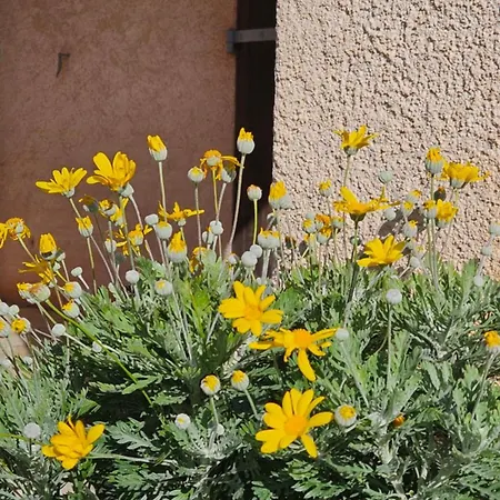 Li Cabanoun, Au Soleil Issambres A 3min De La A Pied Apartment